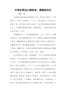 大学生军训心得体会：青春的印记