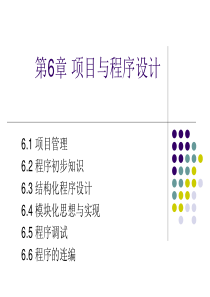 第6章 项目与程序设计