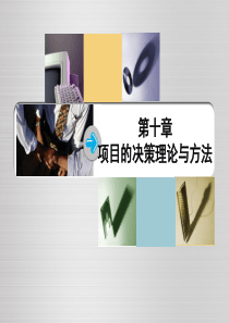 第十章项目的决策理论与方法