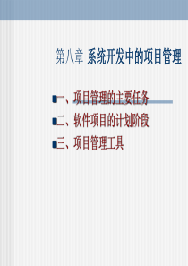 系统开发中的项目管理