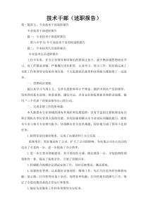 技术干部（述职报告）