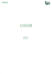 红河项目回顾070204