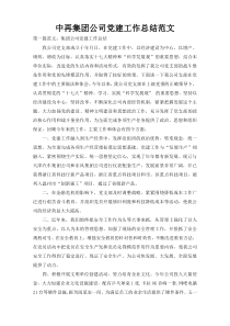 中再集团公司党建工作总结范文