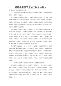 新思想指引下党建工作总结范文