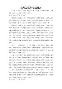 试用期工作总结范文