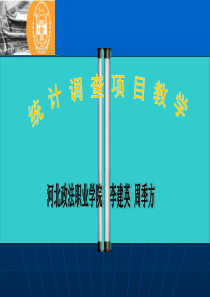 统计调查项目教学