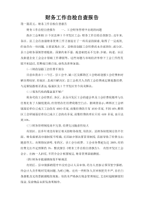 财务工作自检自查报告