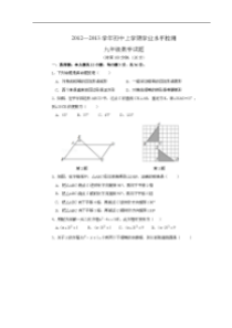 莘县妹冢中学2012-2013学年九年级上学业水平检测数学试题