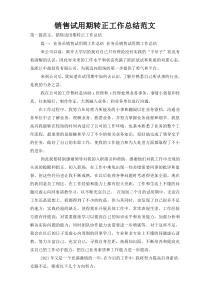 销售试用期转正工作总结范文