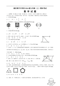 重庆市南开中学2014届九年级上期末考试数学试题