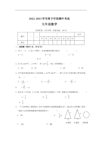 自贡市富顺板桥中学2012-2013年九年级下期中数学试题