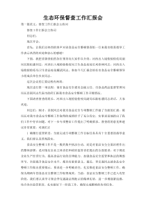 生态环保督查工作汇报会