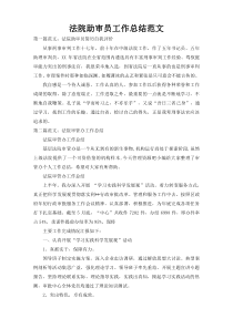 法院助审员工作总结范文