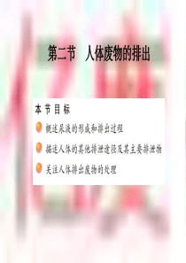 11-2人体废物的排出