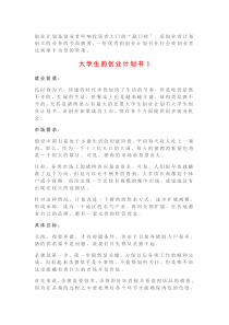 大学生的创业计划书