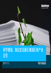 罗兰贝格华夏沈北新区项目中期报告