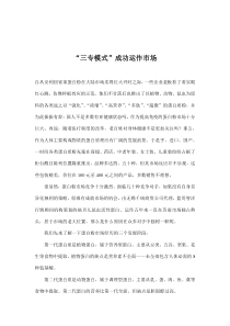“三专模式”成功运作市场(doc8)(1)