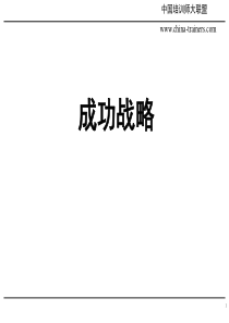 00企业与个人成功的战略