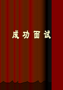 成功面试-HR猫猫