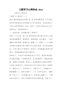 三新学习心得体会.docx