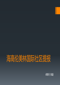 美林国际项目提报案(第一次)