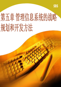 04管理信息系统的战略规划和开发方法ppt-21管理信
