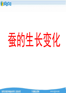 蚕的生长变化--课件