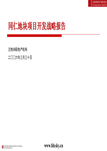 06年南京同仁地块项目开发战略报告