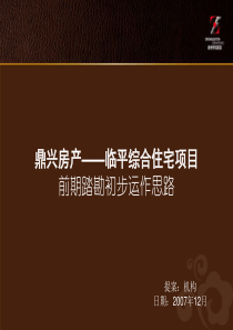 临平综合住宅项目前期运作思路报告-203PPT