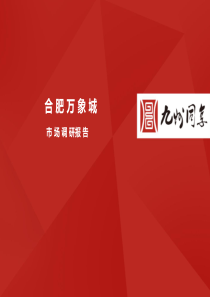 合肥万象城市调报告12.31分析