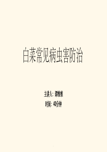 白菜常见病虫害防治ppt课件