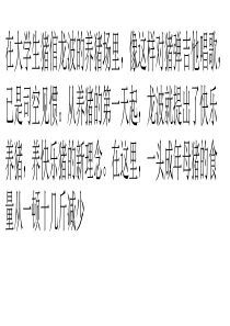大学生养猪创业故事