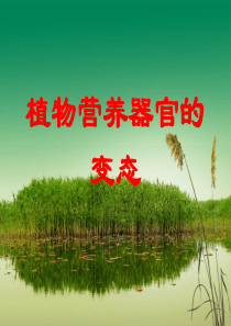 植物的营养器官变态