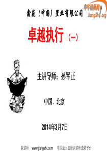 卓越执行力(孙军正)