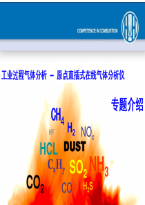德国霍亨原位直插式在线气体分析仪介绍幻灯片