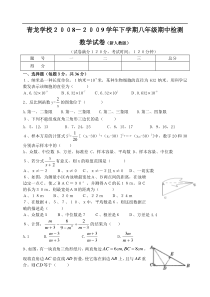2008-2009学年下学期八年级数学期中检测题
