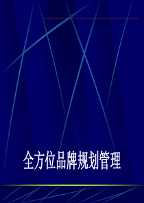 全方位品牌规划管理(品牌运作模式)