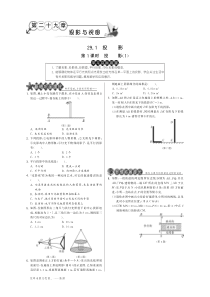29.1.1投影（1）·数学人教版九下-特训班