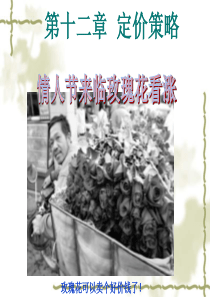12第十二章定价策略