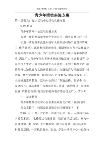 青少年活动实施方案