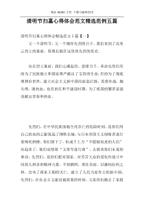 清明节扫墓心得体会范文精选范例五篇