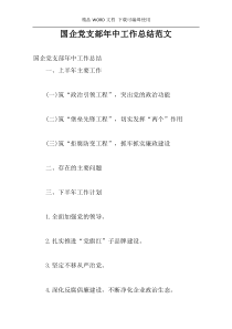 国企党支部年中工作总结范文