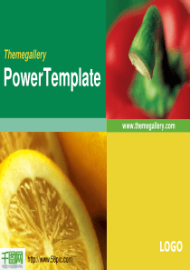 产品分析PPT模板