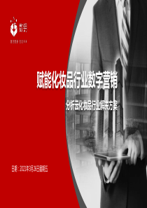 分析云化妆品行业解决方案