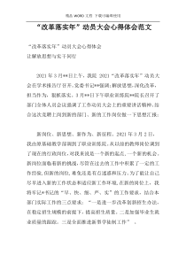 “改革落实年”动员大会心得体会范文