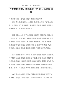 “青春新向党，建功新时代”团日活动新闻稿