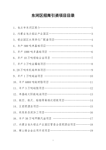 东河区招商引资项目目录