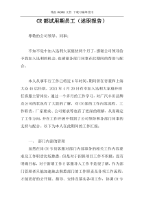 CR部试用期员工（述职报告)