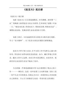 《赵亚夫》观后感
