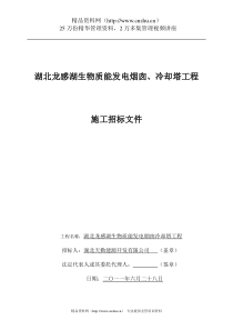 XXXX年XX生物质能发电烟囱、冷却塔工程施工招标文件（DOC 43页）